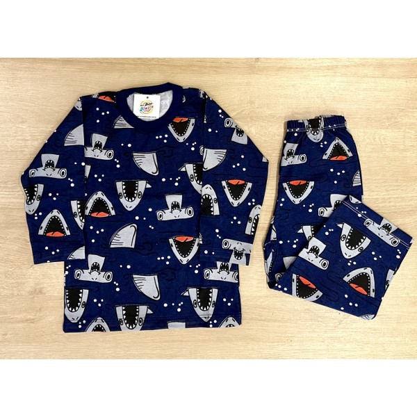 Pijama Infantil Inverno Longo Menino 1-8 Anos Estampado Frio