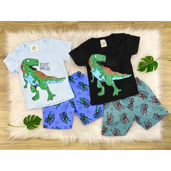 Conj Shorts Camiseta Infantil Verão Barato Menino 1 a 3 Anos